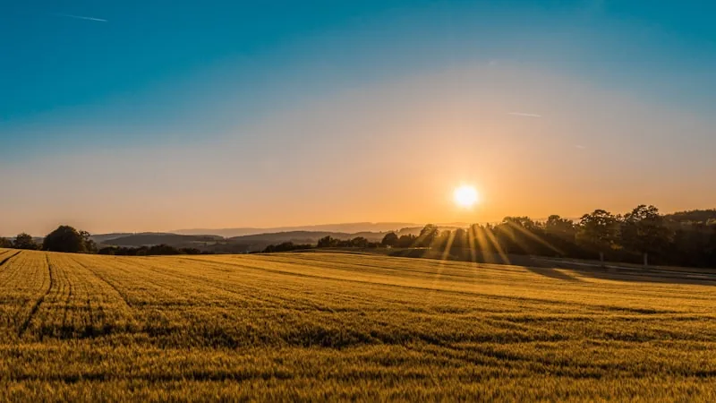 Georreferenciamento de imóvel rural