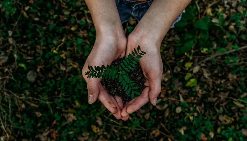 Inventário florestal em vegetação nativa